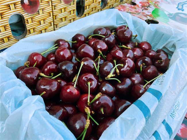 【国内现货】澳洲cherry blossoms wvf 钻石樱花车厘子(优选品) 2000g